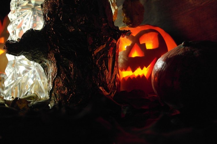 Прощание с теплой Осенью — Куклы Kidz'n'Cats (Соня Хартман): шарнирные 46 см