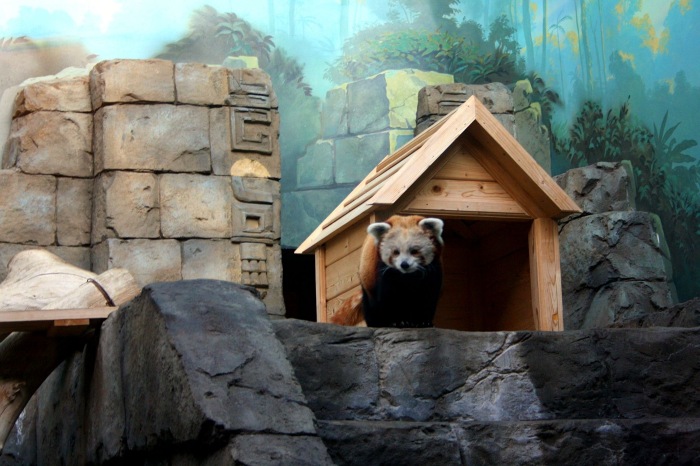 Московские каникулы. Часть 1