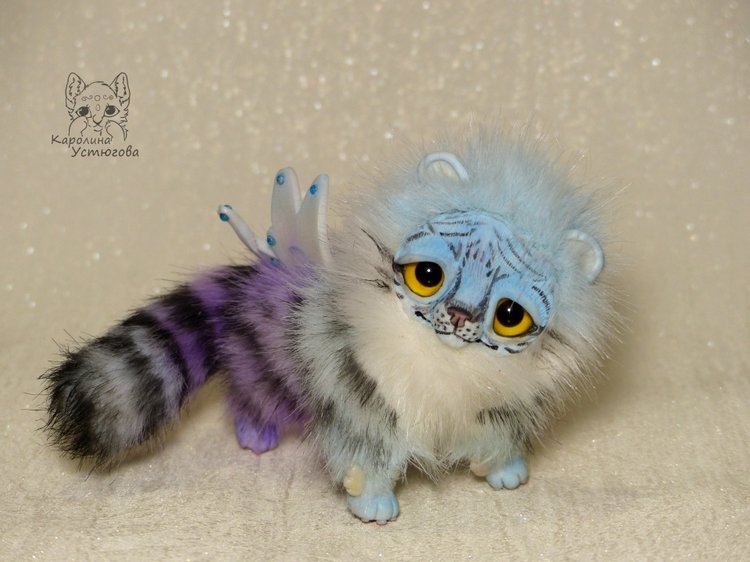 Ахисмио Тигровый в новом окрасе