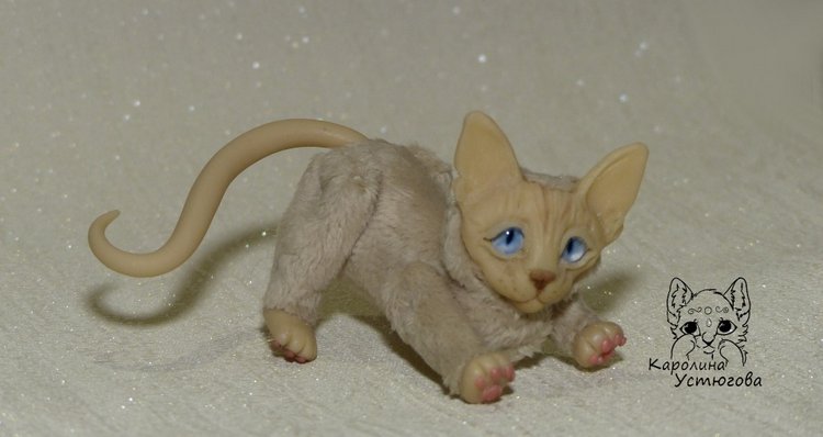 Два миниатюрных котика Сфинкса