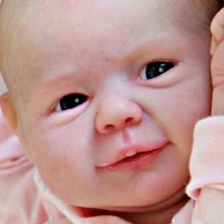 Молд Dream Скульптор Elizabeth Townsley