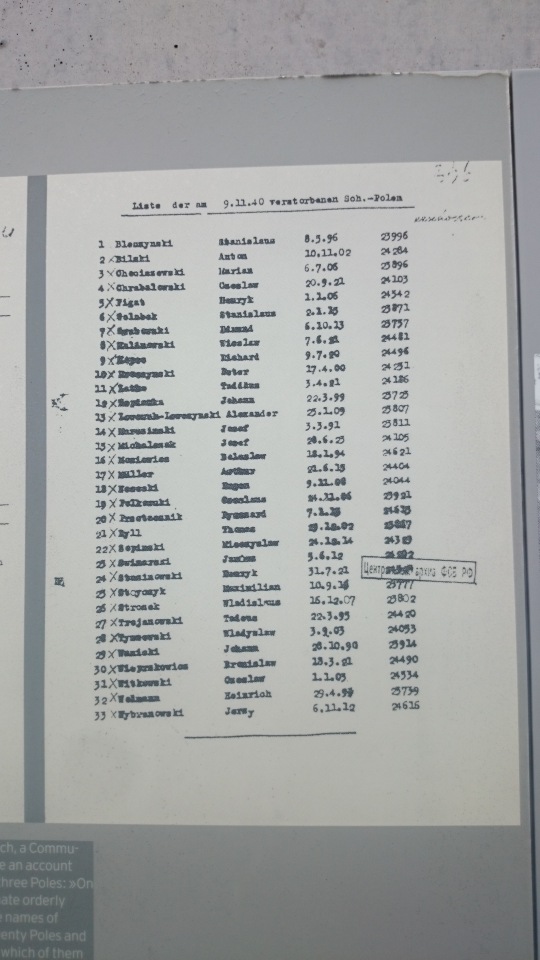 Спасибо Вам за смелость и отвагу, за небо мирное над головой