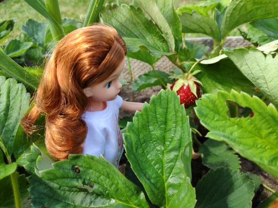 Прогулки с Ликкой — Куклы Takara Tomy (Такара): Licca (Ликка)