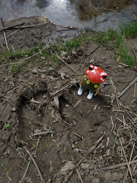 Wonderfrog. Красота в простоте (фото 8)