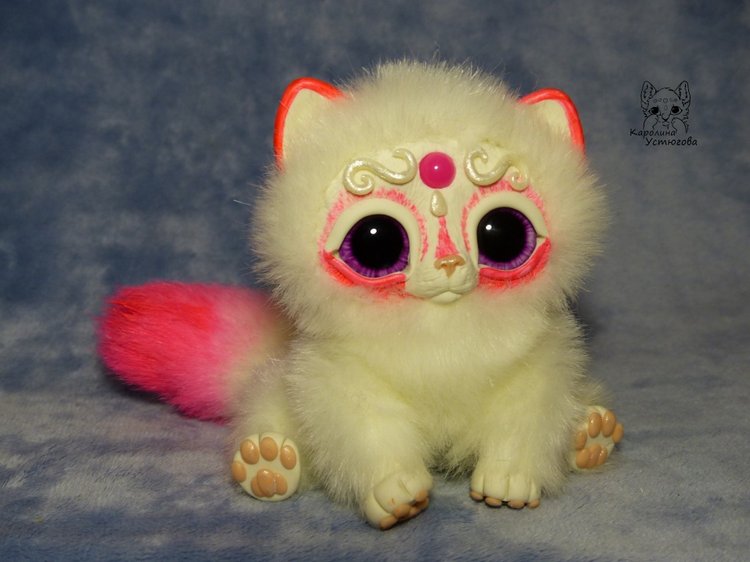 Королевские волшебные коты, породы: Мирис. В кадре и за кадром. Процесс