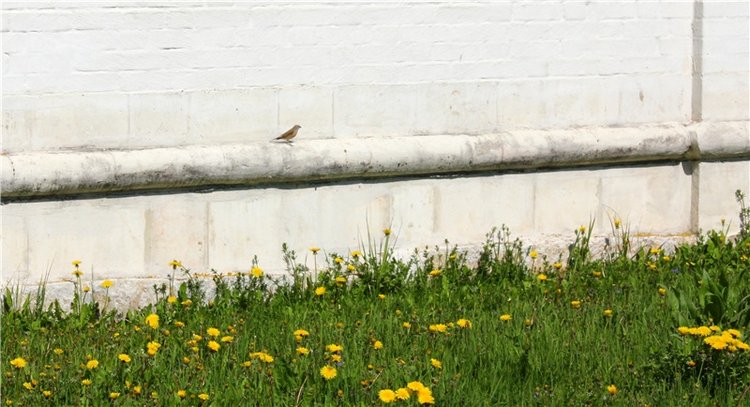 Путешествие Софи в Старицу, заключительная часть. Lati HoneyBee New Mystic Sophie