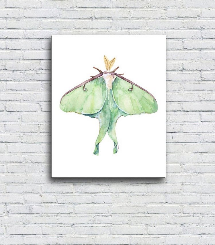 TheColorfulCatStudio - Иллюстрированная фауна by Rachel Byler