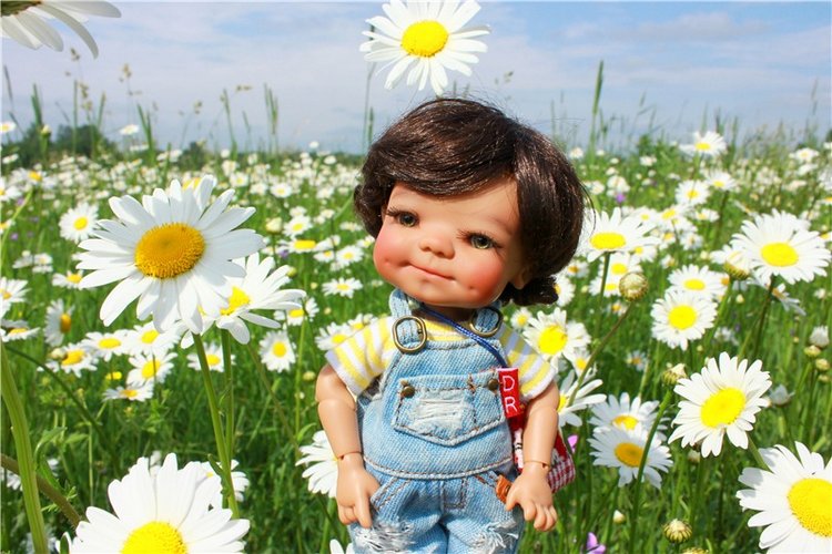 Ромашковый Июнь — Куклы Meadow dolls (Медовушки): BJD (БЖД)