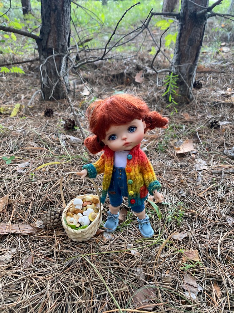 Как Варя ходила за грибами. Fabbi Chibbi Meadow dolls | Бэйбики Как Варя ходила за грибами. Fabbi Chibbi Meadow dolls