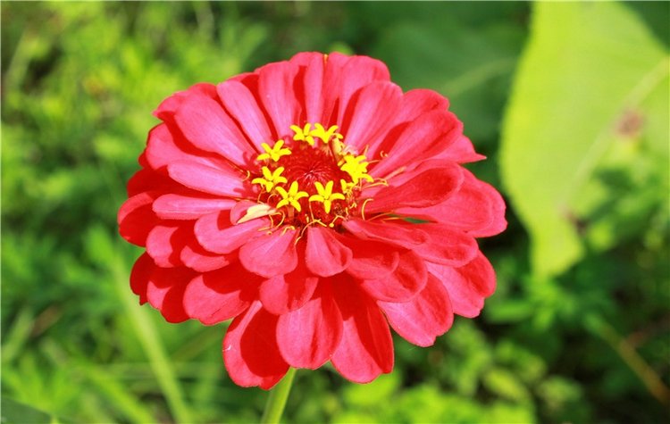 Сентябрьское путешествие в Старицу. Старицкий Свято-Успенский Монастырь