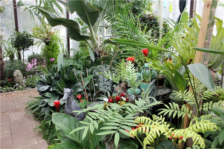 Тверской Ботанический Сад, продолжение | Бэйбики Тверской Ботанический Сад, продолжение