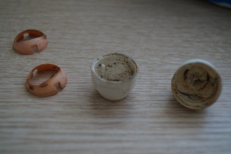 Первомайская выписка: чистка содой, ремонт пищалки, сшит Баварский костюм и реанимация брошенок