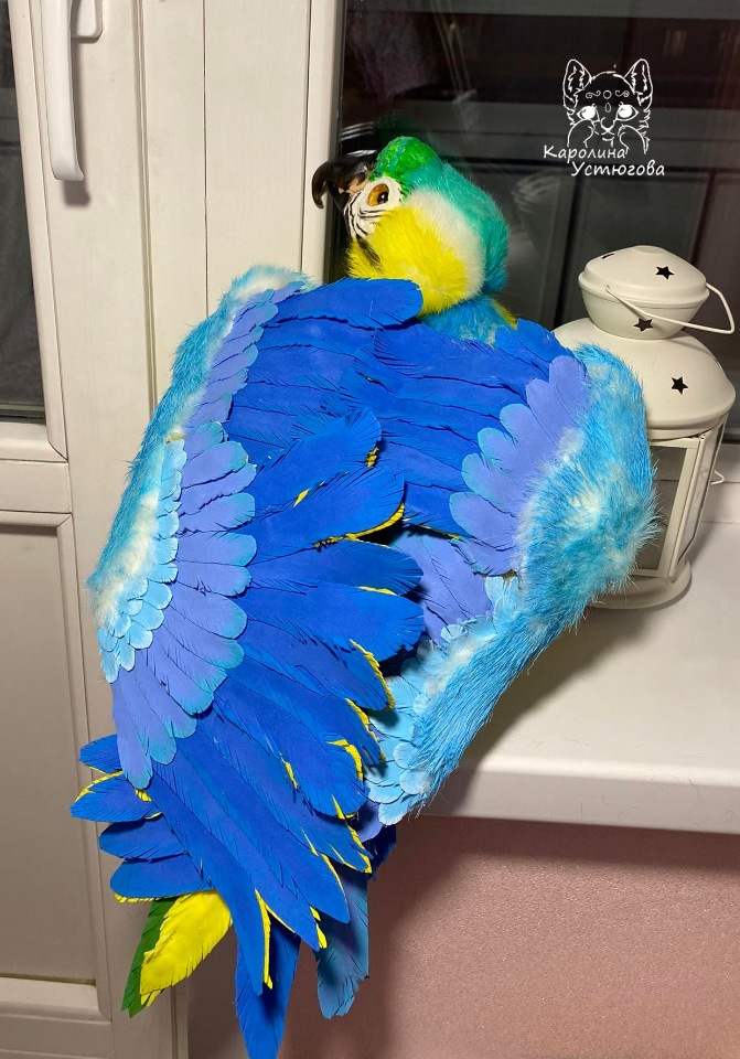 Попугай Ара. Желто-голубой (фото 3)