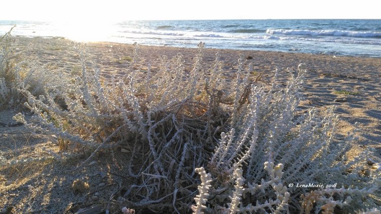 Kidz' тур. Нико на Крите. Аниссарас (фото 10)