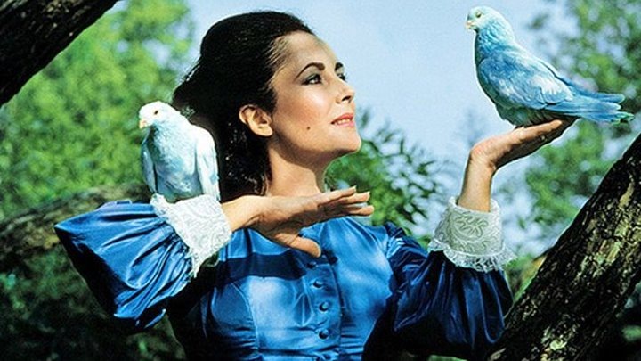 В поисках Синей птицы. Merle от Sissel Bjorstad Skille, Фирмы Götz (фото 3)