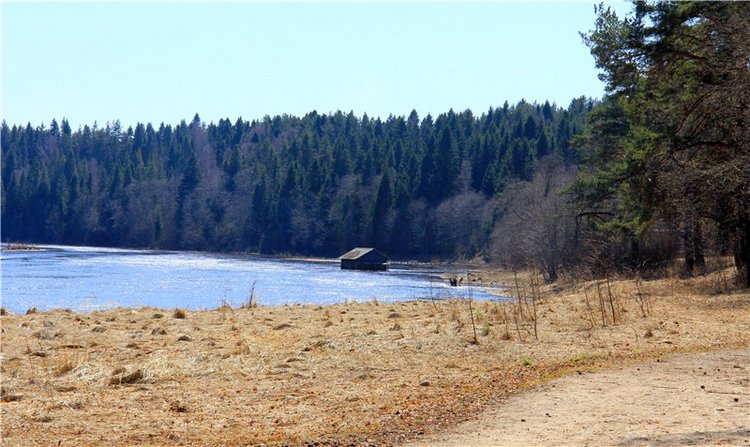Апрельский день в Василёво (фото 2)