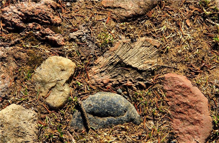 Апрельский день в Василёво, заключительная часть