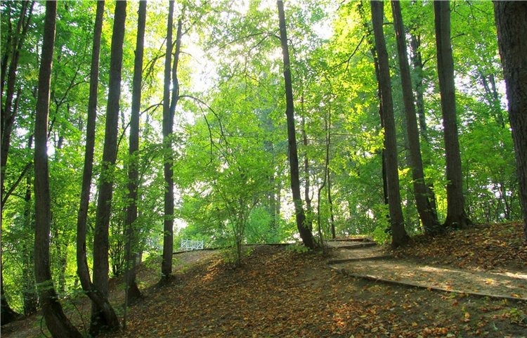 Августовская прогулка в Берново. Zwergnase Mischa