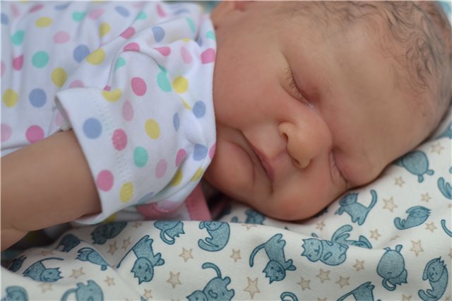 Мои новорожденные малыши. Кукла реборн | Бэйбики Мои новорожденные малыши. Кукла реборн