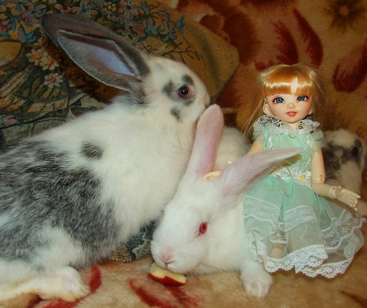 История Алиски 2 - Пасхальная, с белыми кроликами) | Бэйбики История Алиски 2 - Пасхальная, с белыми кроликами) (фото 6)