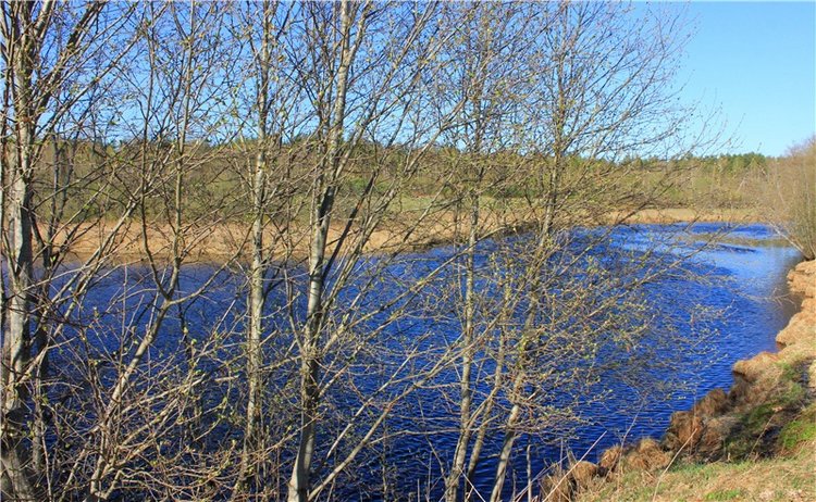 Джиджи на Орше. BJD Gigi от Meadow Dolls