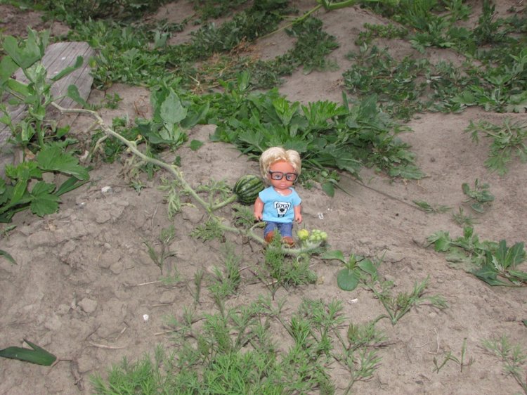 Путешествие в Нижегородскую область - часть 3 - Тимошка на усадьбе