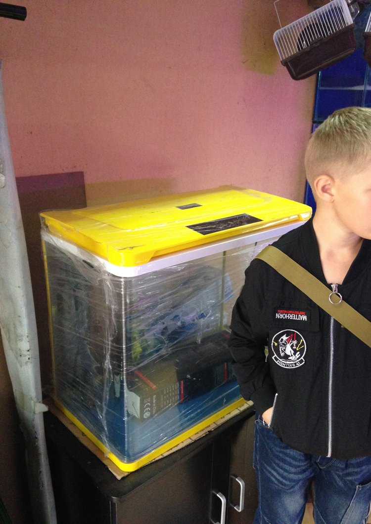 Прогулка по Китаю-2 (обзор цен на игрушки, животных, шмотки, еду)