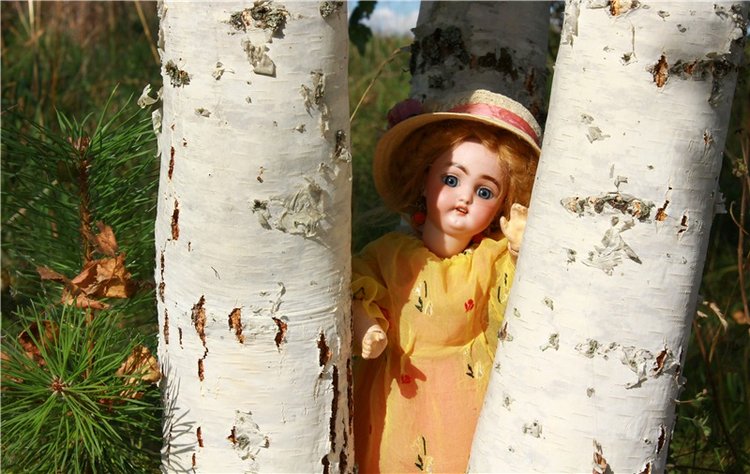 Странница во времени — Антикварные куклы Simon & Halbig (S&H): Симон Хальбиг