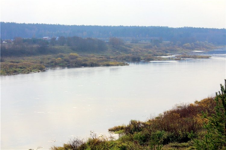 Гришутка — Винтажные куклы ГДР (Немки): Бигги