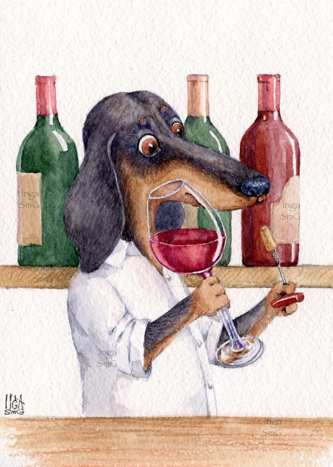 Предновогодние денёчки! Улыбнёмся вместе! Смешные таксы Инги smG