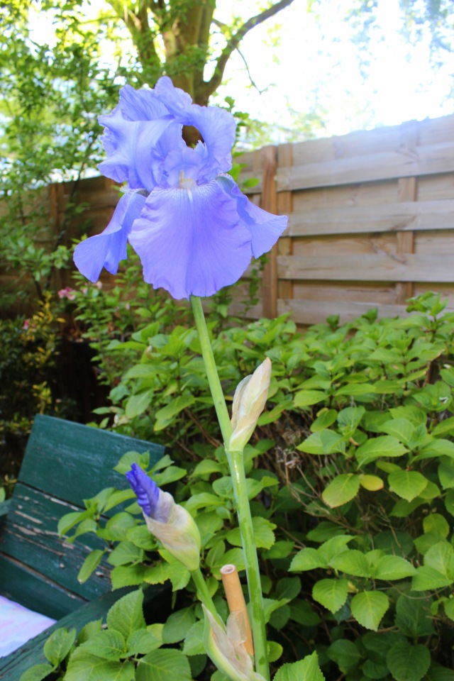 Любовь нечаянно нагрянет — Фэшн (фото 9)