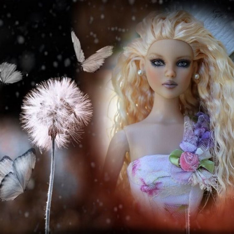 Мои Тоннерки. Фотозарисовки