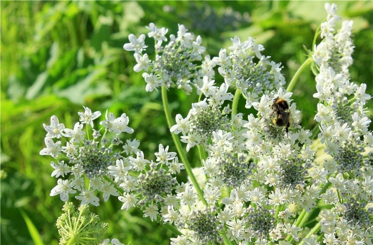 Путешествие Эли на красивый берег реки Волги