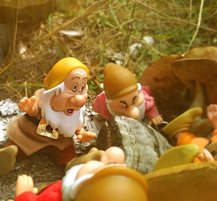 Осеннею порой под старою сосной... Принц, Белоснежка и гномы... встречаются