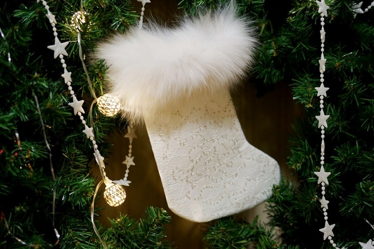 Новогодний сапожок — Другие хобби и увлечения: сад