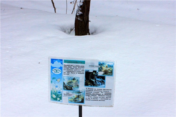 Тверской Ботанический Сад, заключительная часть