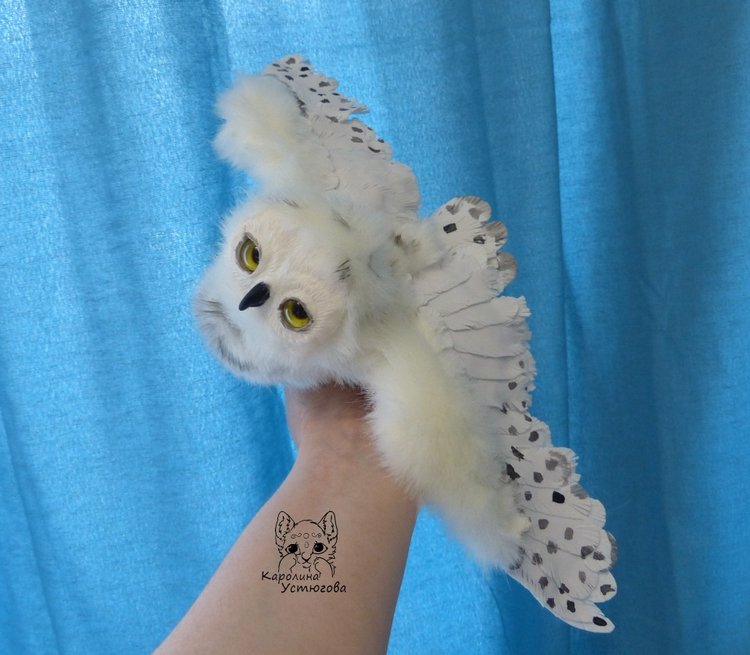 Полярные совы. Стремящиеся в полет