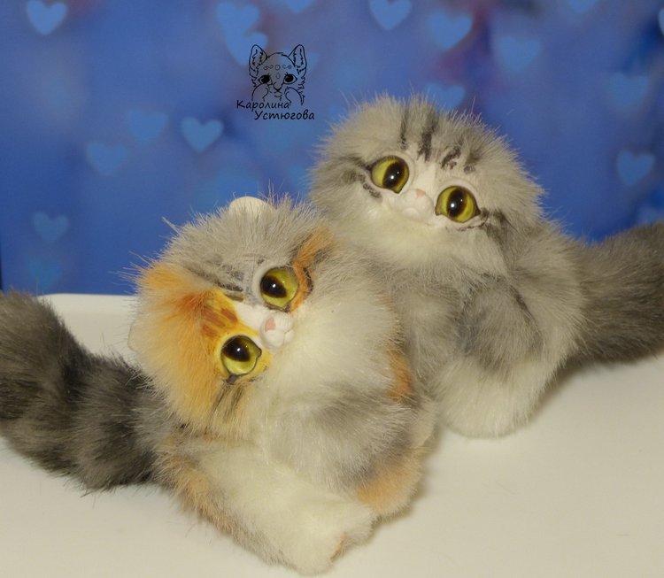 Котята породы: Керл — Игрушки в смешанной технике (мех и глина): Арт (фото 4)