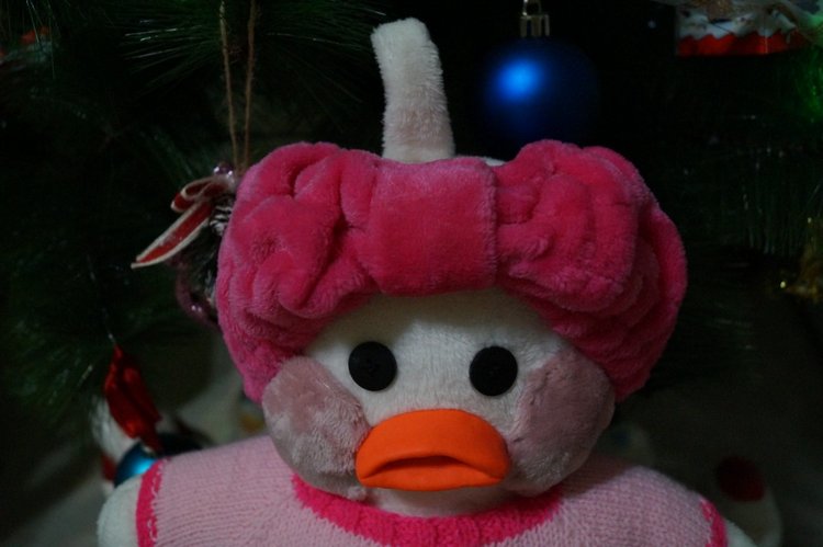 Агаша сшила подарок для сестры на новый год и купальник для Свег LOL OMG