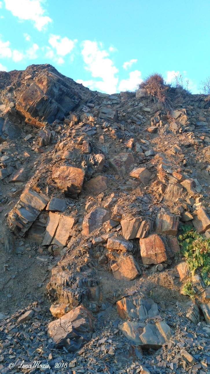 Kidz' тур. Юлино лето — Куклы Kidz'n'Cats (Соня Хартман): шарнирные 46 см