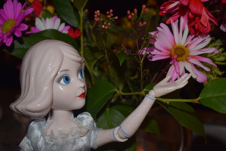 Моё сердечко — Разные шарнирные куклы (не БЖД): редкие