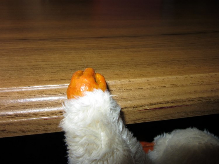 Фантастическая наглость фантастического нюхлера (фото 4)