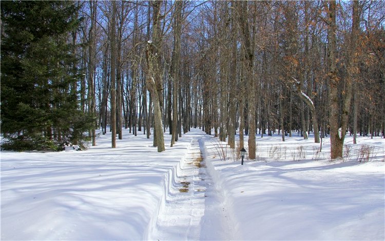 Снежный Март — Туризм и путешествия: фотоотчеты из поездок