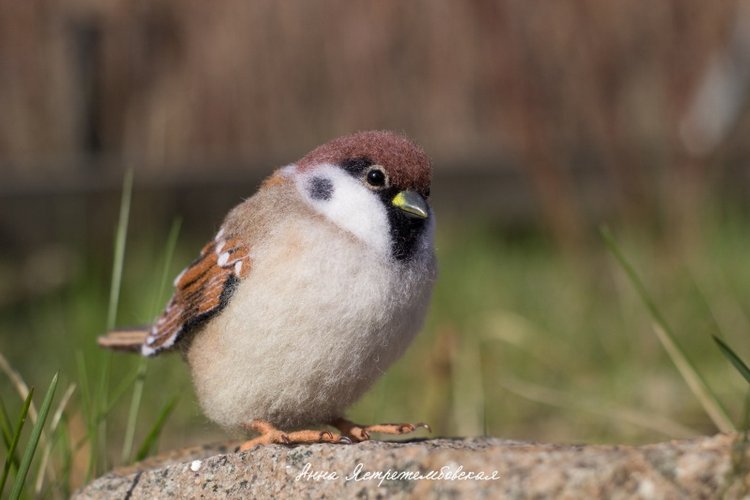Воробушки — Валяные игрушки из шерсти: сухое валяние