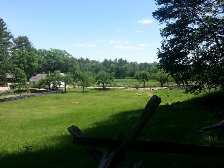 Прокатимся на машине времени? Поселение Старбридж. Новая Англия. 1830 год. Часть вторая