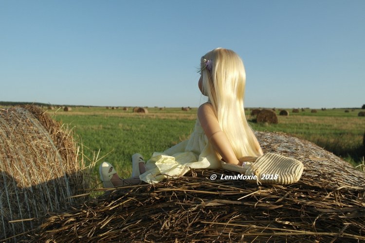 Зорянино лето. Прогулка в полях (фото 8)