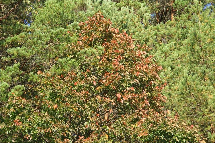 Старицкая Швейцария. Старицкие пещеры, д. Толпино, заключительная часть