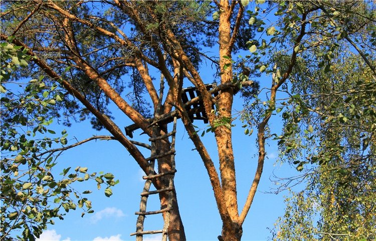 Нийя. Воспоминание об осени, Чукавино, Эко-Лэнд
