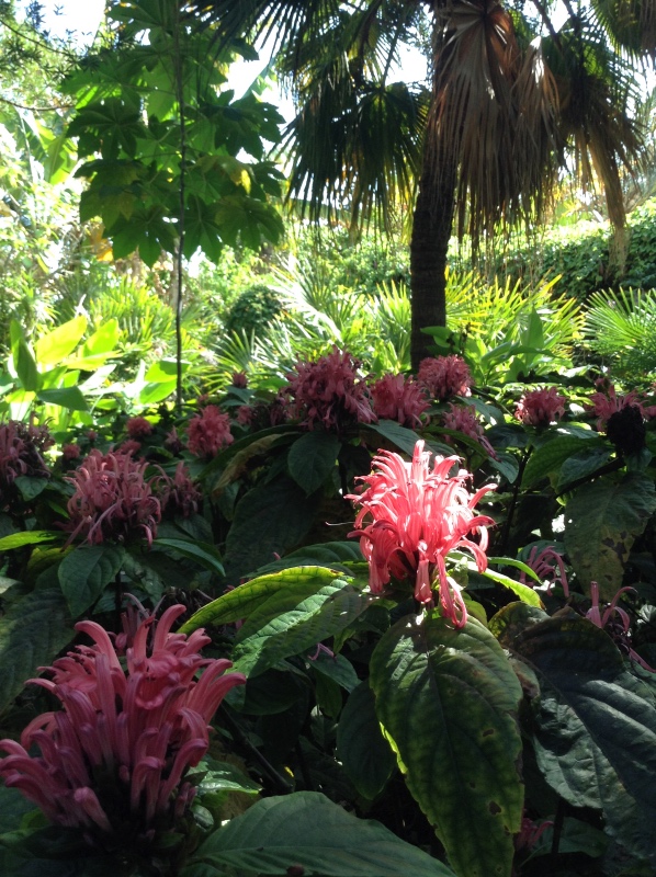 Путешествие Минуш в Испанию. Каталония. Ч.3. Райские сады