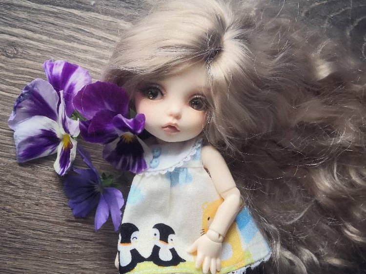 Дони на природе | Бэйбики Дони на природе — Куклы Fairyland (ФэйриЛэнд): BJD (БЖД) (фото 2)